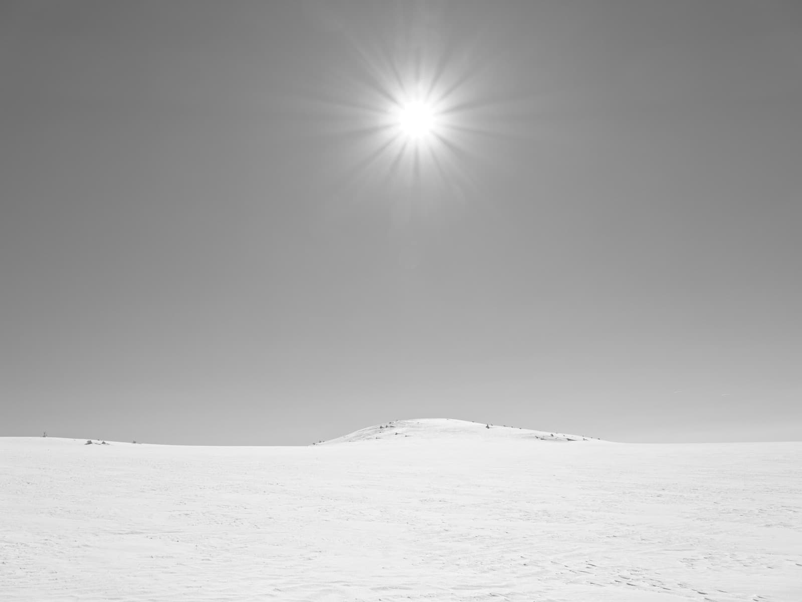 Ett bländande skarpt solljus över ett snötäckt vinterlandskap i svartvitt
